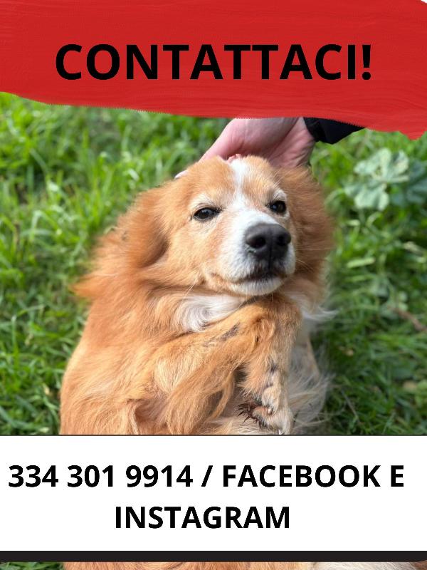 Ricky, 5 anni, piccolo piccolo Foto 4