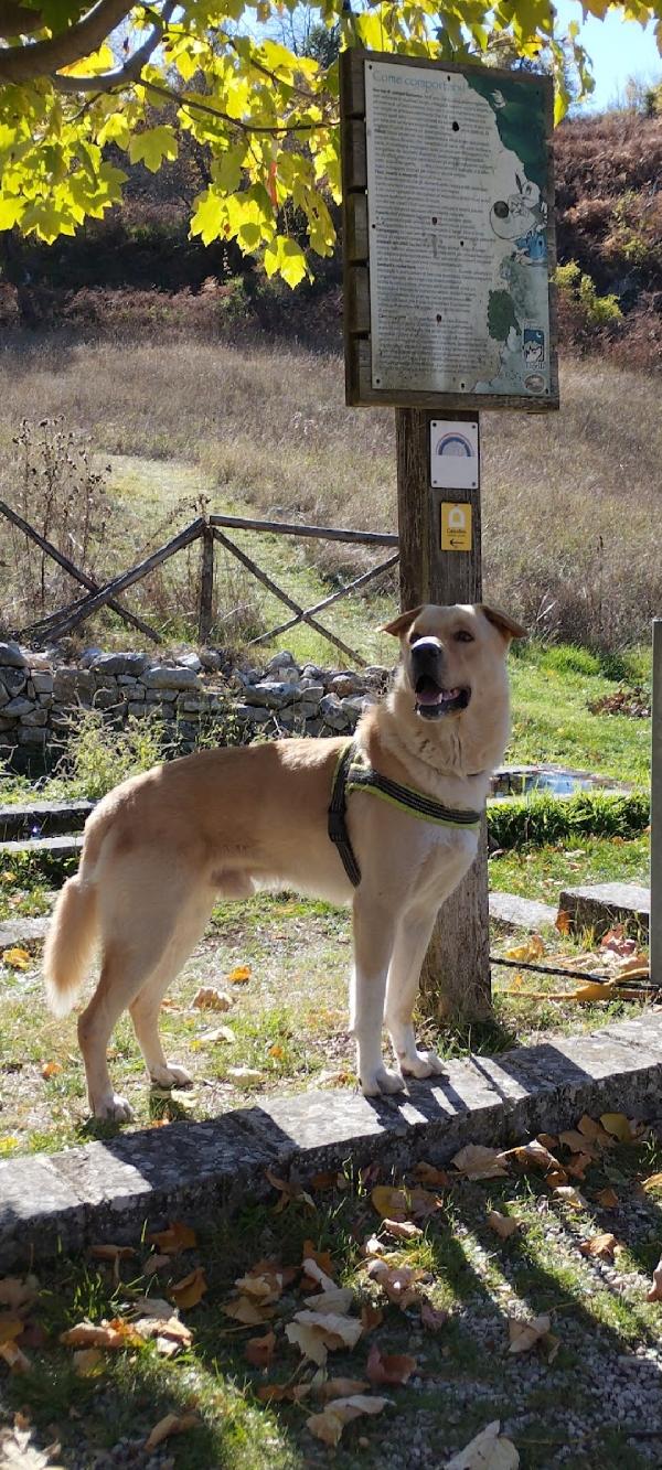 Giulio e zanac Foto 2