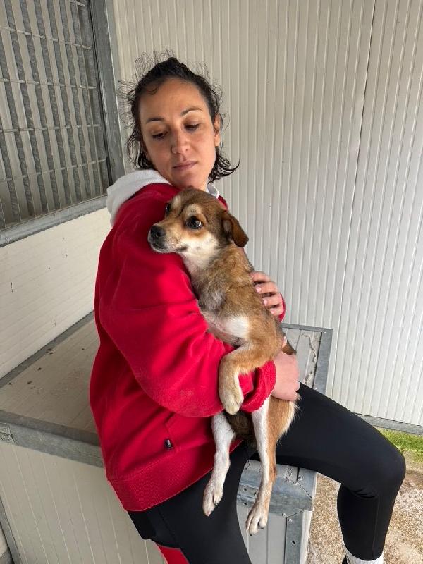 Jenna: taglia piccola super dolce  Foto 3