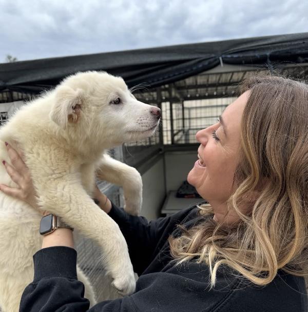 Patatina splendida dolce cucciola cerca casa  Foto 2