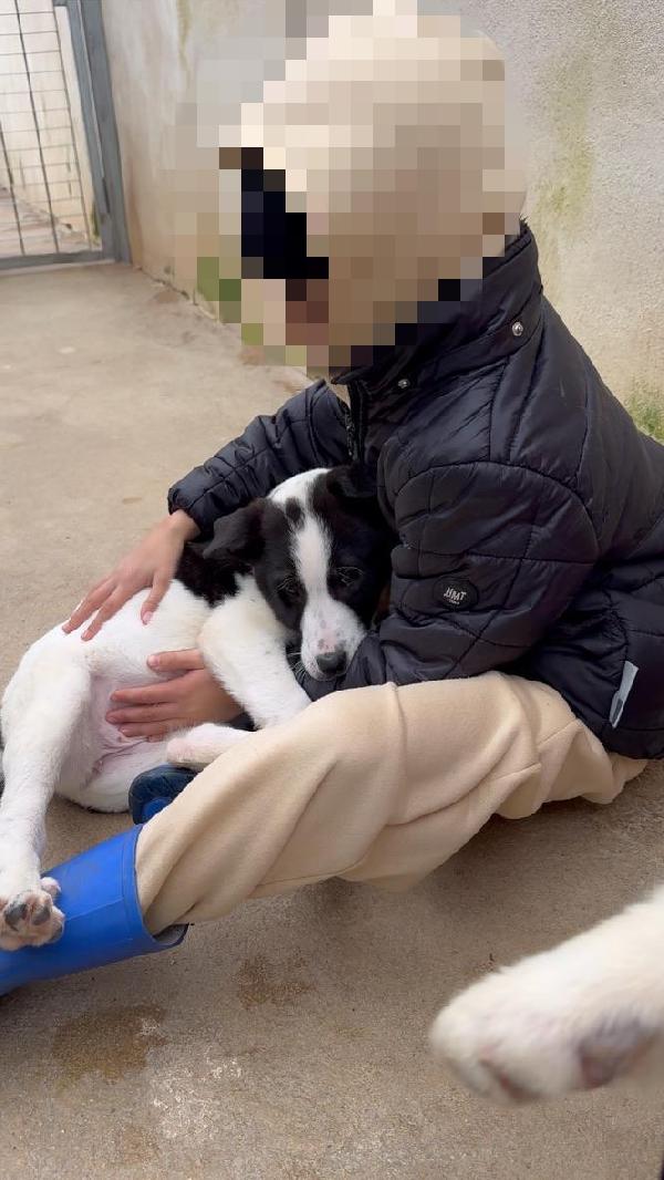 Olga: 3 Mesi Taglia Grande 