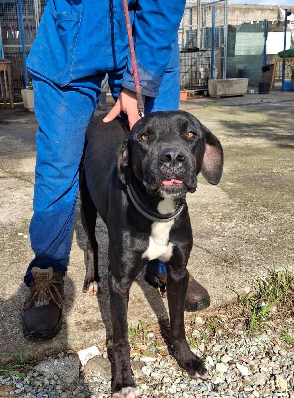 Benny ❤️💖❤️ Foto 2