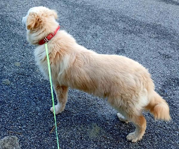 UNA MAMMA PER AKI Foto 2