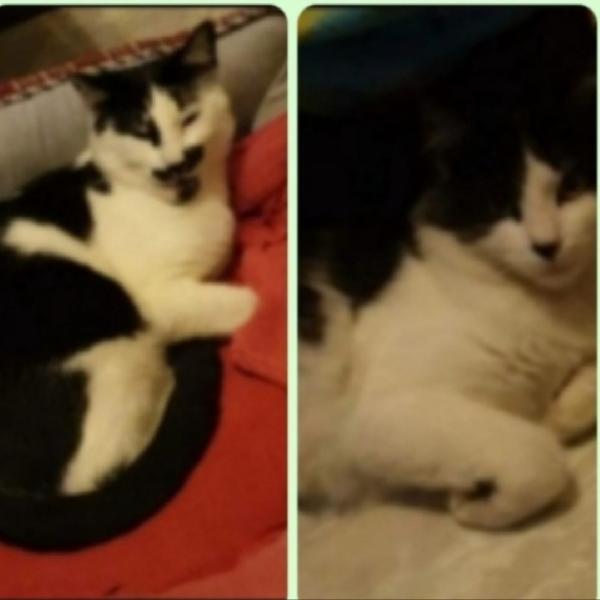 2Mici Bianchi E Neri 2Anni Roma