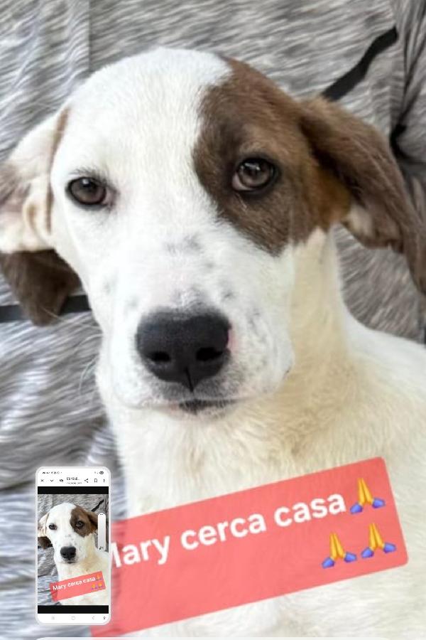 Mary E Nocciolino 6/7Mesi Invisibili! Sicilia