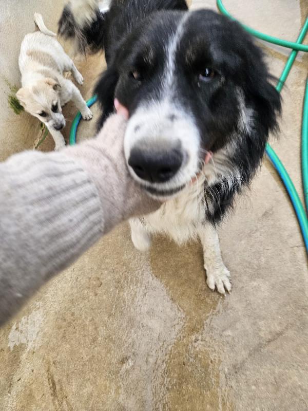 Rosalia: giovane mammina equilibrata dolcissima  Foto 6