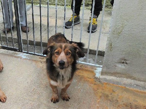 Baffetto adorabile piccoletto Foto 3