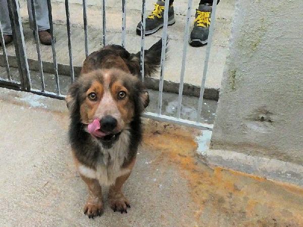 Baffetto adorabile piccoletto Foto 4