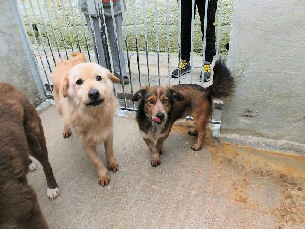 Baffetto adorabile piccoletto Foto 5