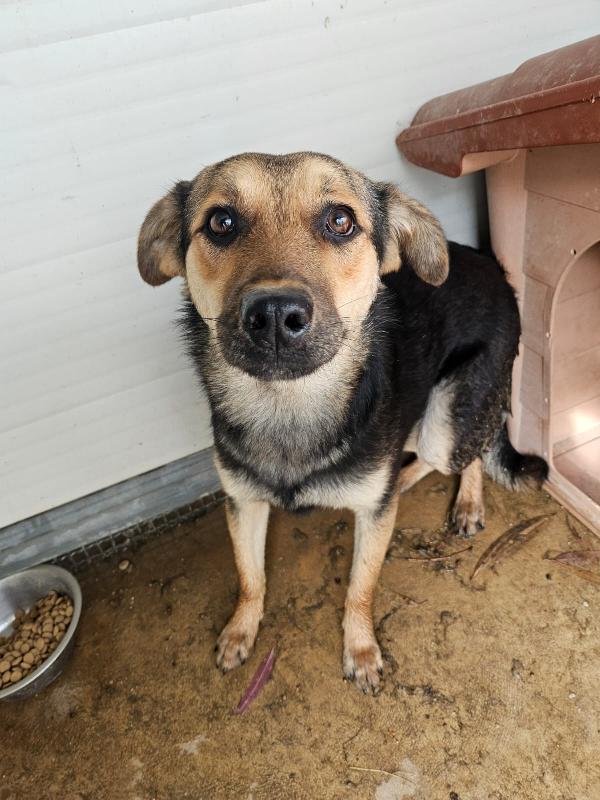 Andrea Splendido Giovane Simil Pastorino Cerca Famiglia 