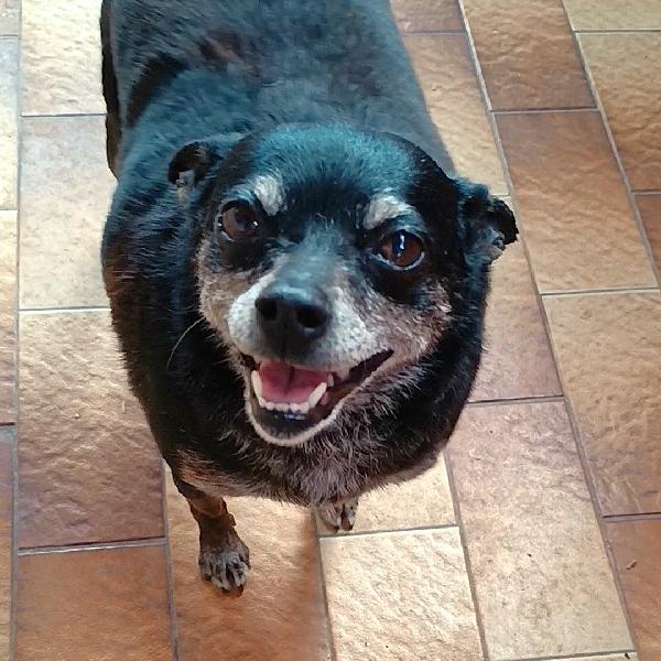 Nerina la peperina cicciottina  Foto 2