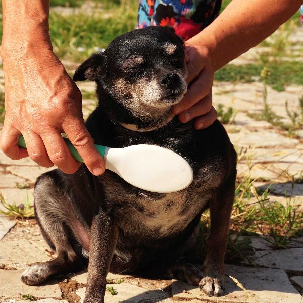 Nerina la peperina cicciottina  Foto 5