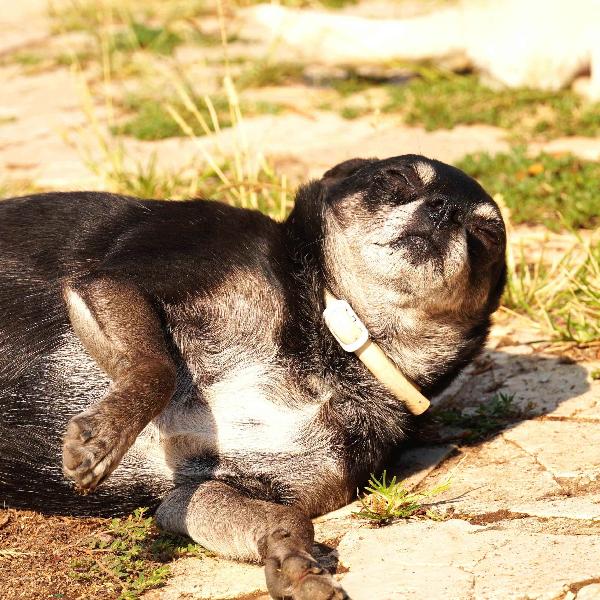 Nerina la peperina cicciottina  Foto 6