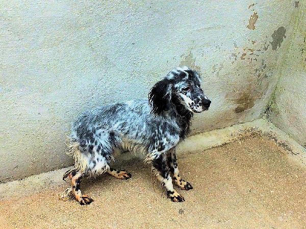 Luna dolce e tenera Foto 3