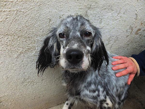 Luna dolce e tenera Foto 4