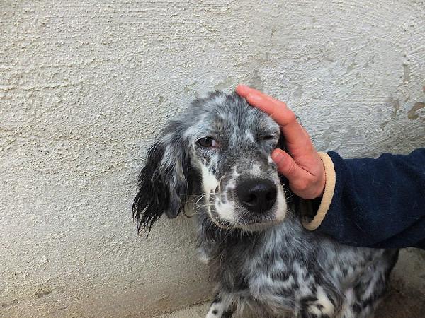 Luna dolce e tenera Foto 5