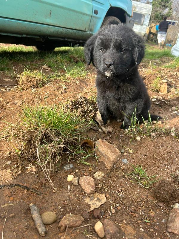 DUE CUORI, UN SOLO SOGNO: UNA FAMIGLIA  Foto 2