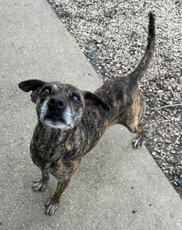 Anissa 7 anni Taglia media piccola  Foto 6