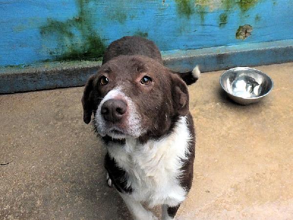 Emiliano buono e affettuoso Foto 2