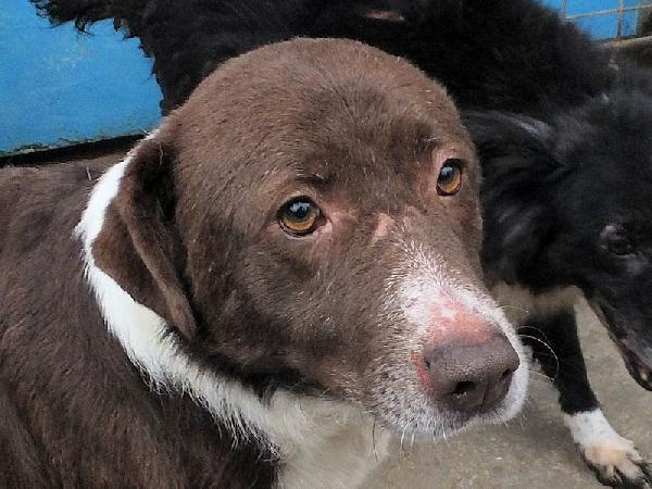 Emiliano buono e affettuoso Foto 6