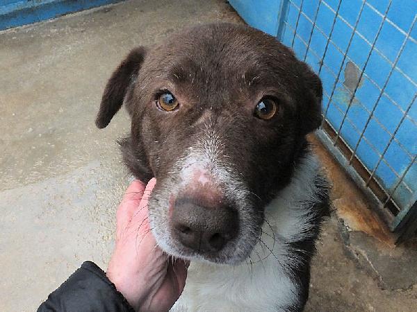 Emiliano buono e affettuoso Foto 8