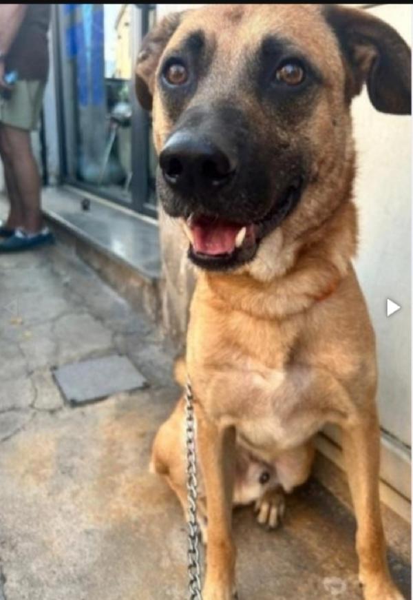 Batu'3Anni Nessuno Lo Considera! Sicilia