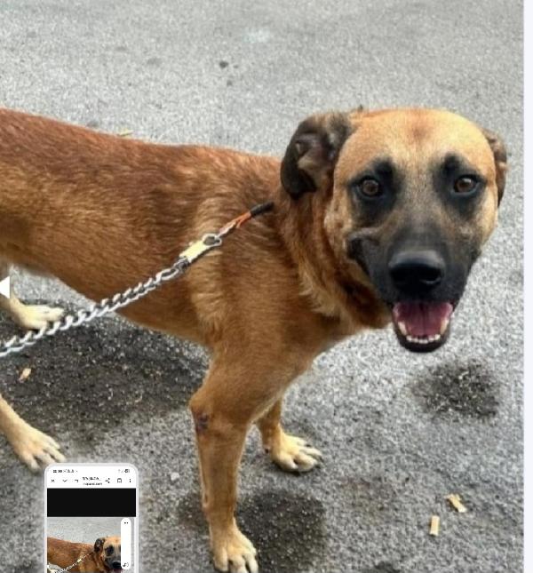 Batu'3anni nessuno lo considera! SICILIA Foto 2