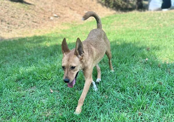 Mimmola musetto dolce Foto 2