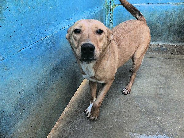 Mimmola musetto dolce Foto 6