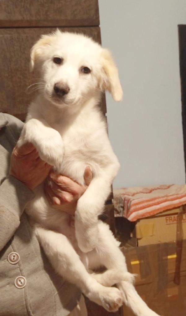 Danny Aspetta La Sua Mamma 