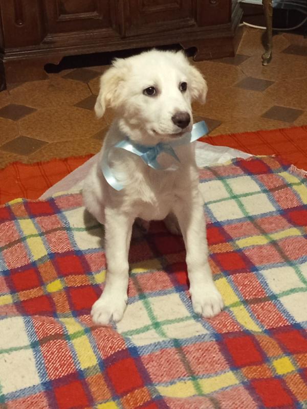 Danny aspetta la sua mamma  Foto 2