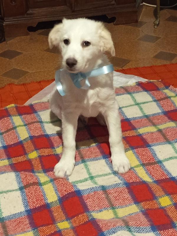 Danny aspetta la sua mamma  Foto 3