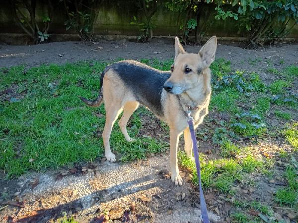 Luna Pastorina Tg Media 5Anni Ne Ha Viste Tante! Bologna