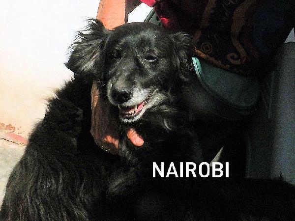 Nairobi Buona E Dolce