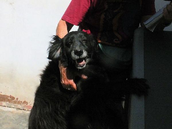 Nairobi buona e dolce Foto 3