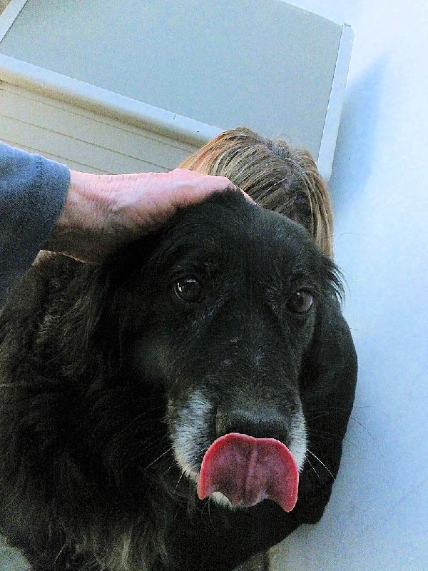 Nairobi buona e dolce Foto 4