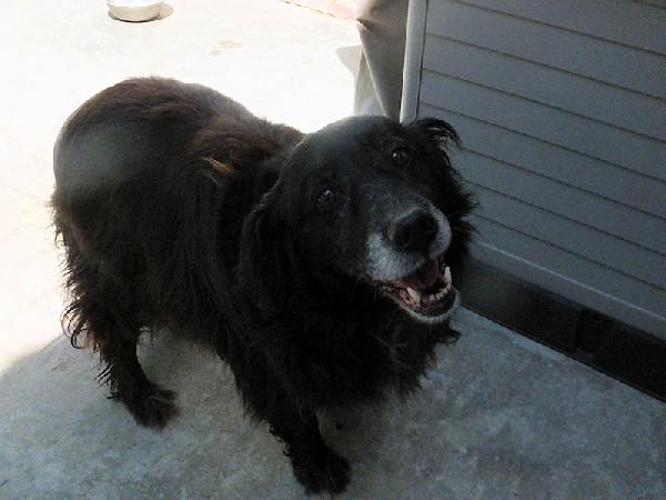 Nairobi buona e dolce Foto 5