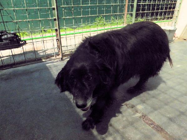 Nairobi buona e dolce Foto 6