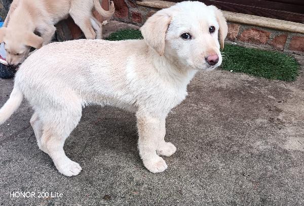 Sorelline Bellissime ❤️❤️❤️💞❤️