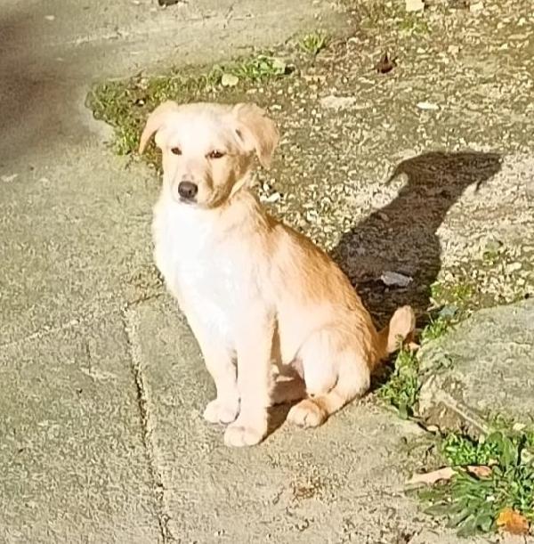 Sorelline bellissime ❤️❤️❤️💞❤️ Foto 2