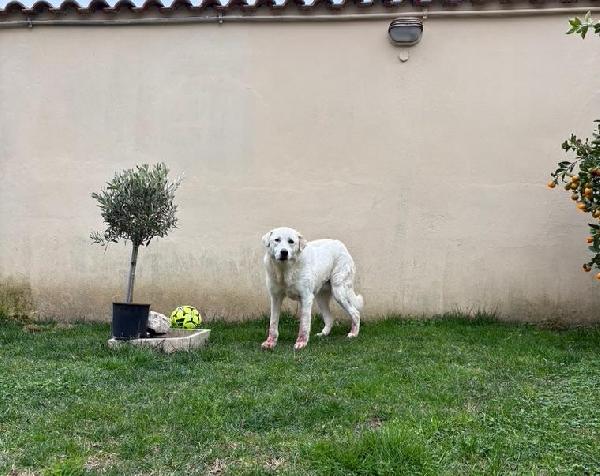 Consuelo: dolce, equilibrata, socievole Foto 2