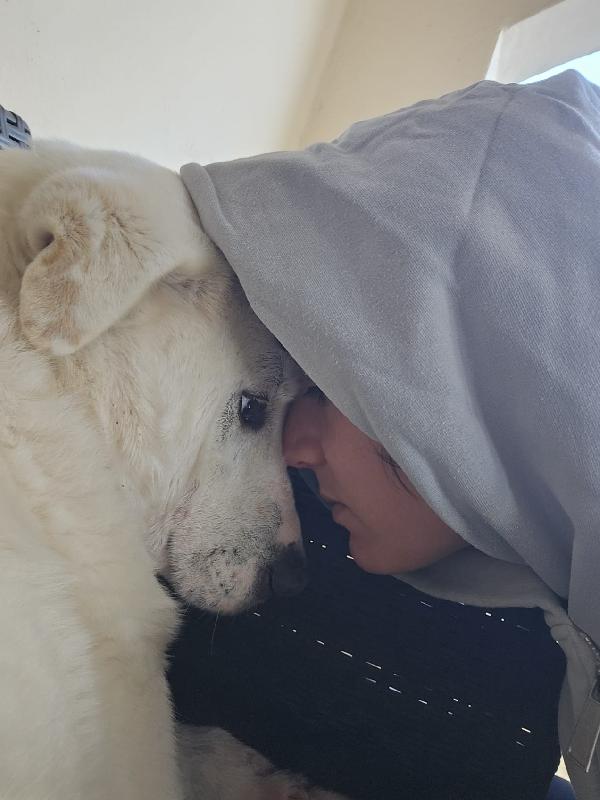 Consuelo: dolce, equilibrata, socievole Foto 3