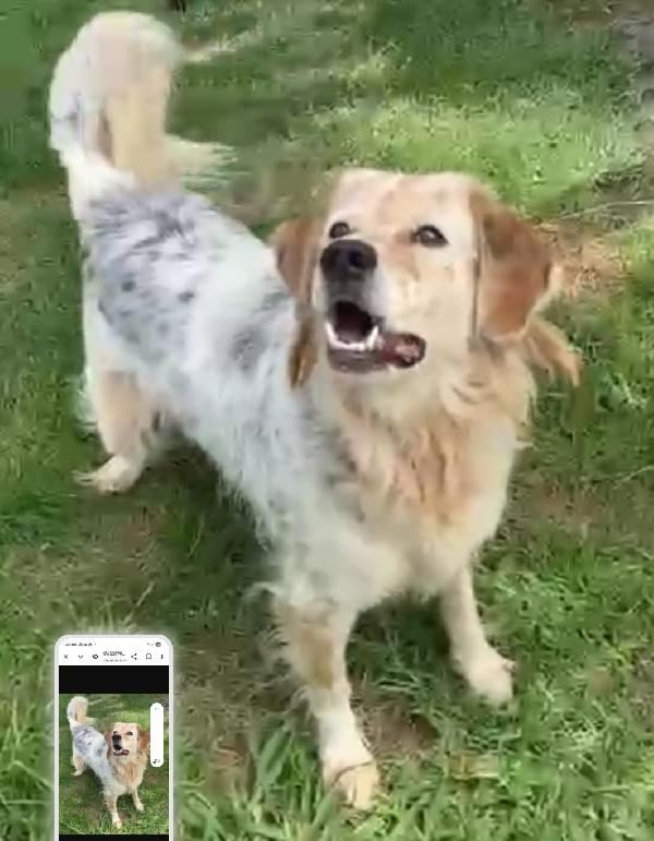 Salvato Da 1Aguzzino 6Anni Fa ! Napoli