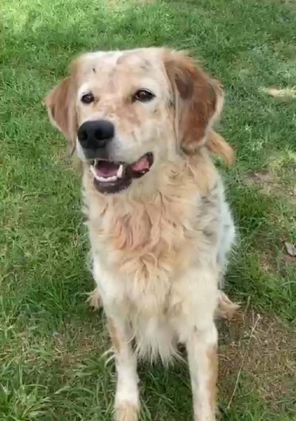 Salvato da 1aguzzino 6anni fa ! NAPOLI Foto 3