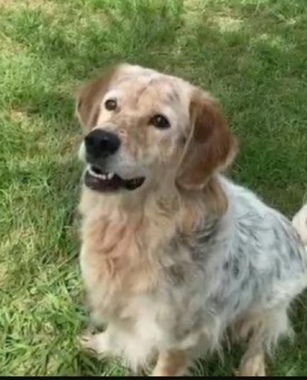 Salvato da 1aguzzino 6anni fa ! NAPOLI Foto 5