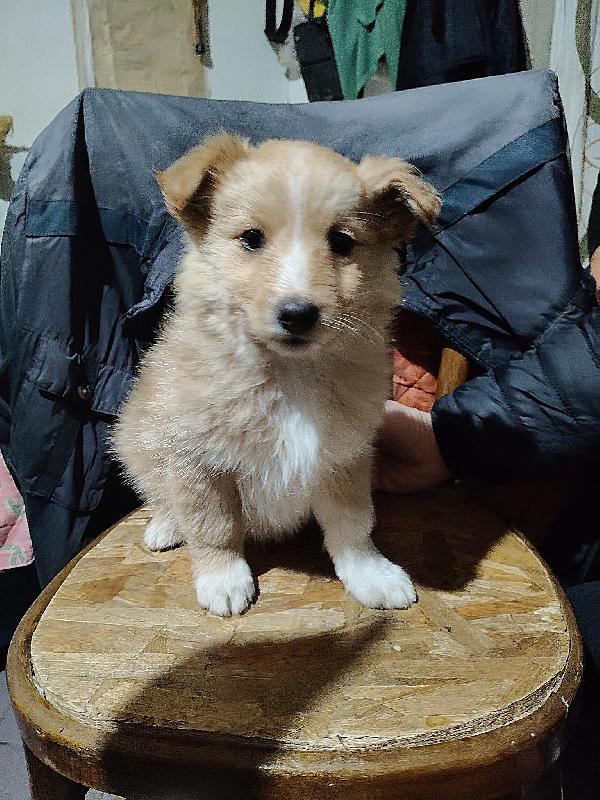 UNA MAMMA PER BIONDO  Foto 2