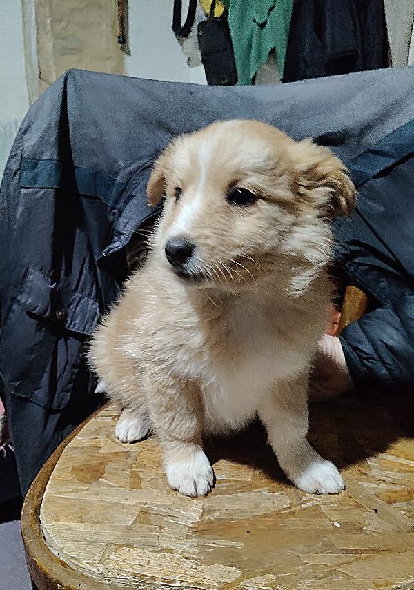 UNA MAMMA PER BIONDO  Foto 3