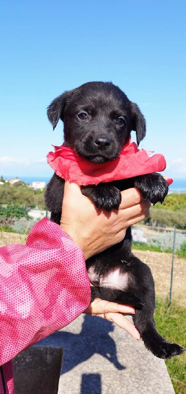 Aurora due mesi Foto 2