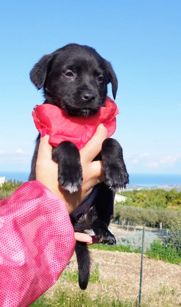 Aurora due mesi Foto 3