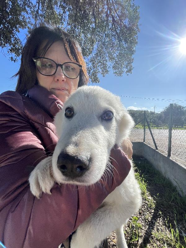 Cucciole cercano casa urgente  Foto 5